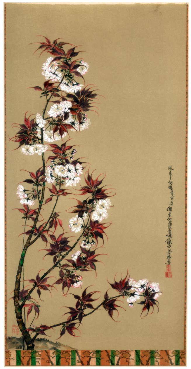 Mikawa
