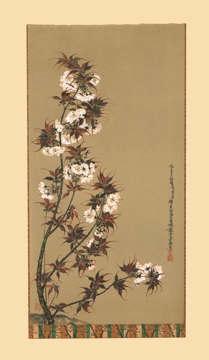 Mikawa