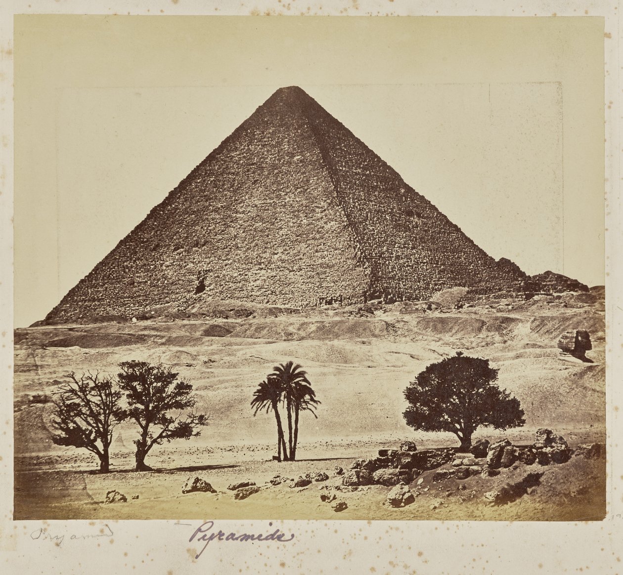  by Wilhelm Hammerschmidt