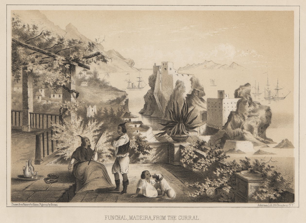 Funchal, Madeira, Corral