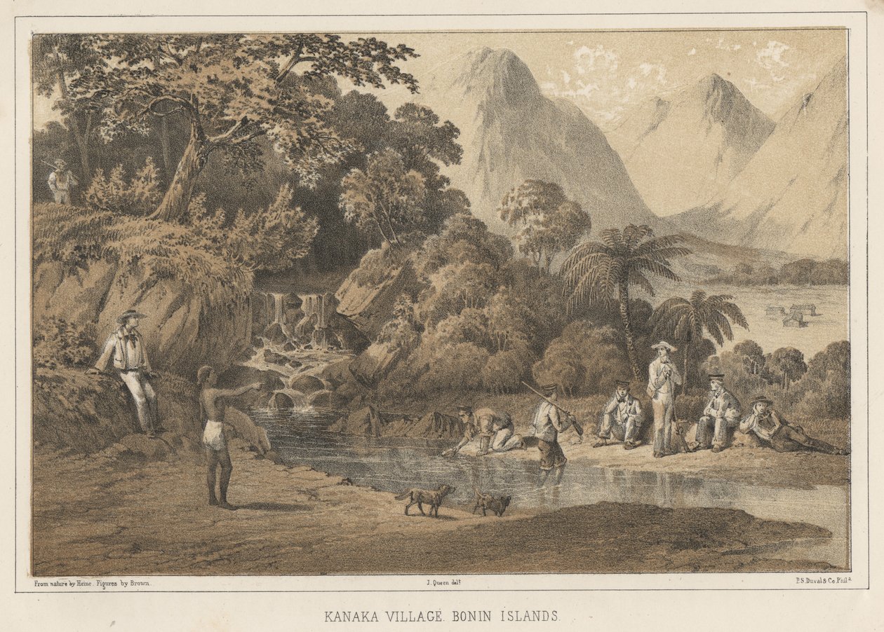 Kanaka Köyü Bonin Adaları, 1855 by Wilhelm Joseph Heine