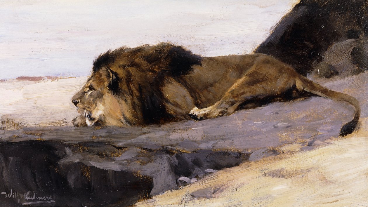 Dinlenen Aslan; Ruhender Lowe, by Wilhelm Kuhnert