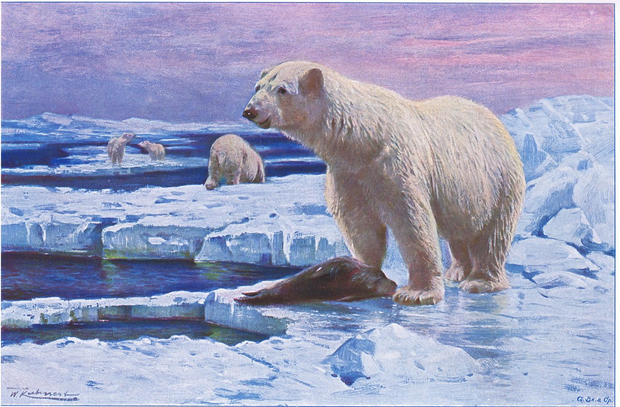 Frederick Warne & Co tarafından yayınlanan Wildlife of the World