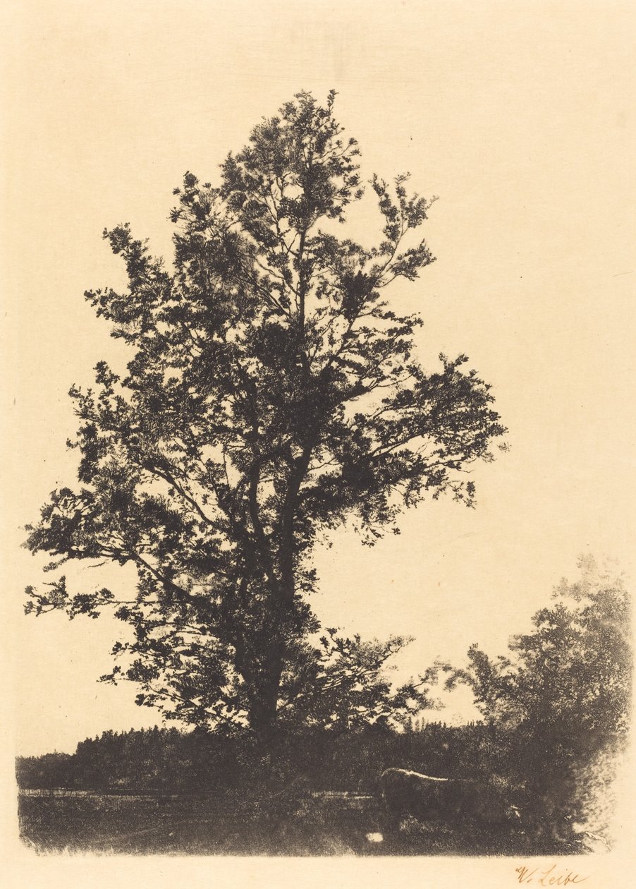 Büyük Ağaç by Wilhelm Maria Hubertus Leibl