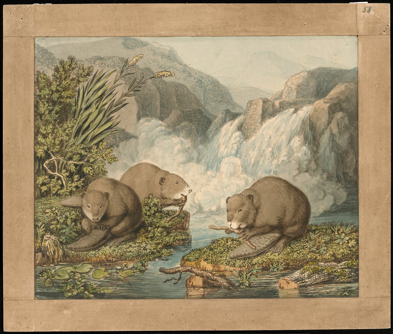 Baraj İnşa Eden Üç Kunduz by Wilhelm Tischbein
