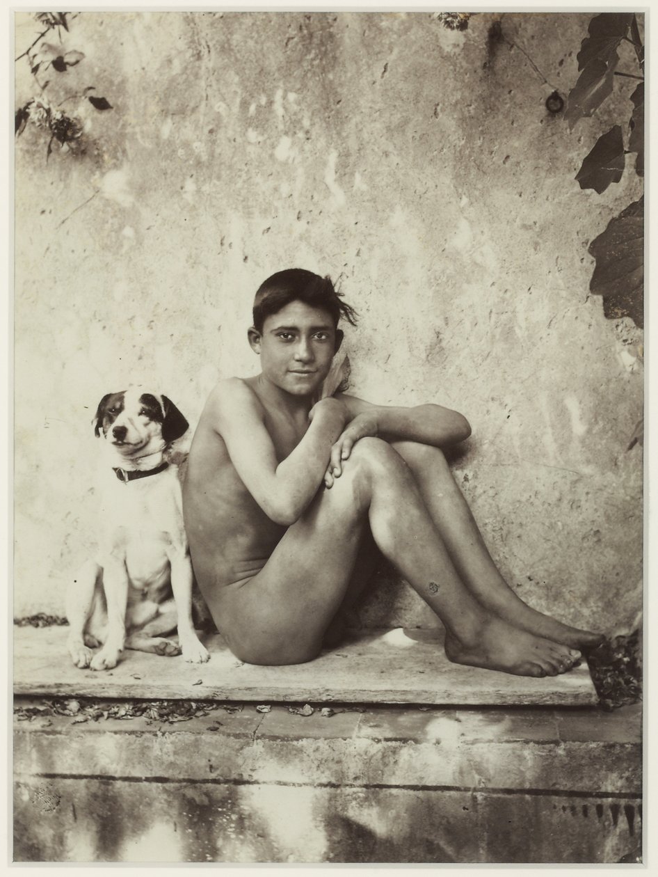 Boy and His Dog, Taormina, İtalya, c.1900 (albüm baskısı) by Baron Wilhelm von Gloeden