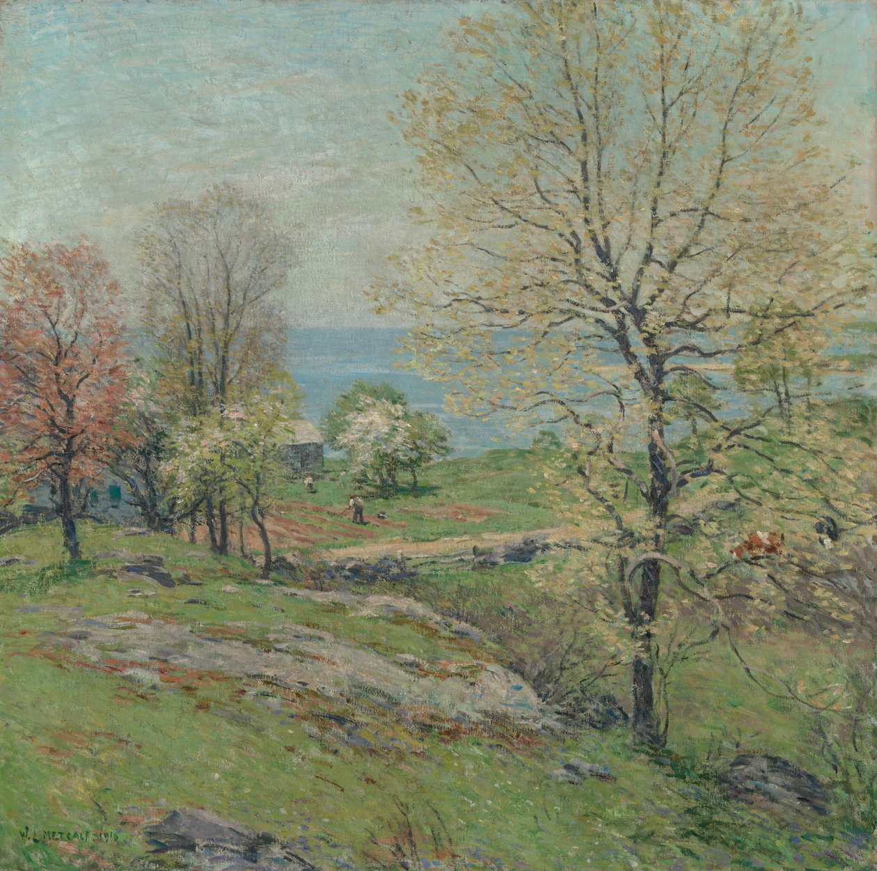 Tomurcuklanan Meşe, 1916. by Willard Leroy Metcalf
