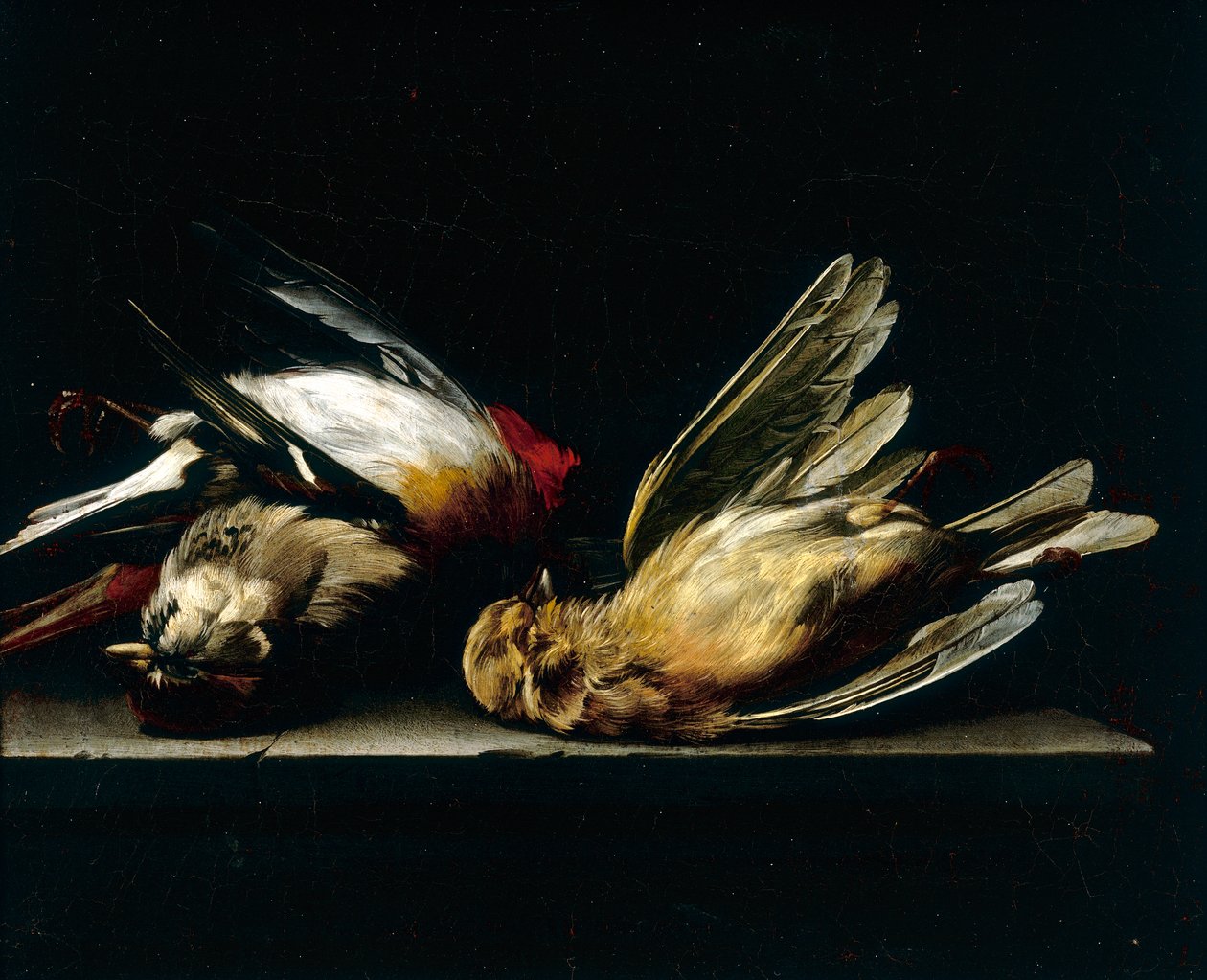 Ölü küçük kuşlar by Willem van Aelst
