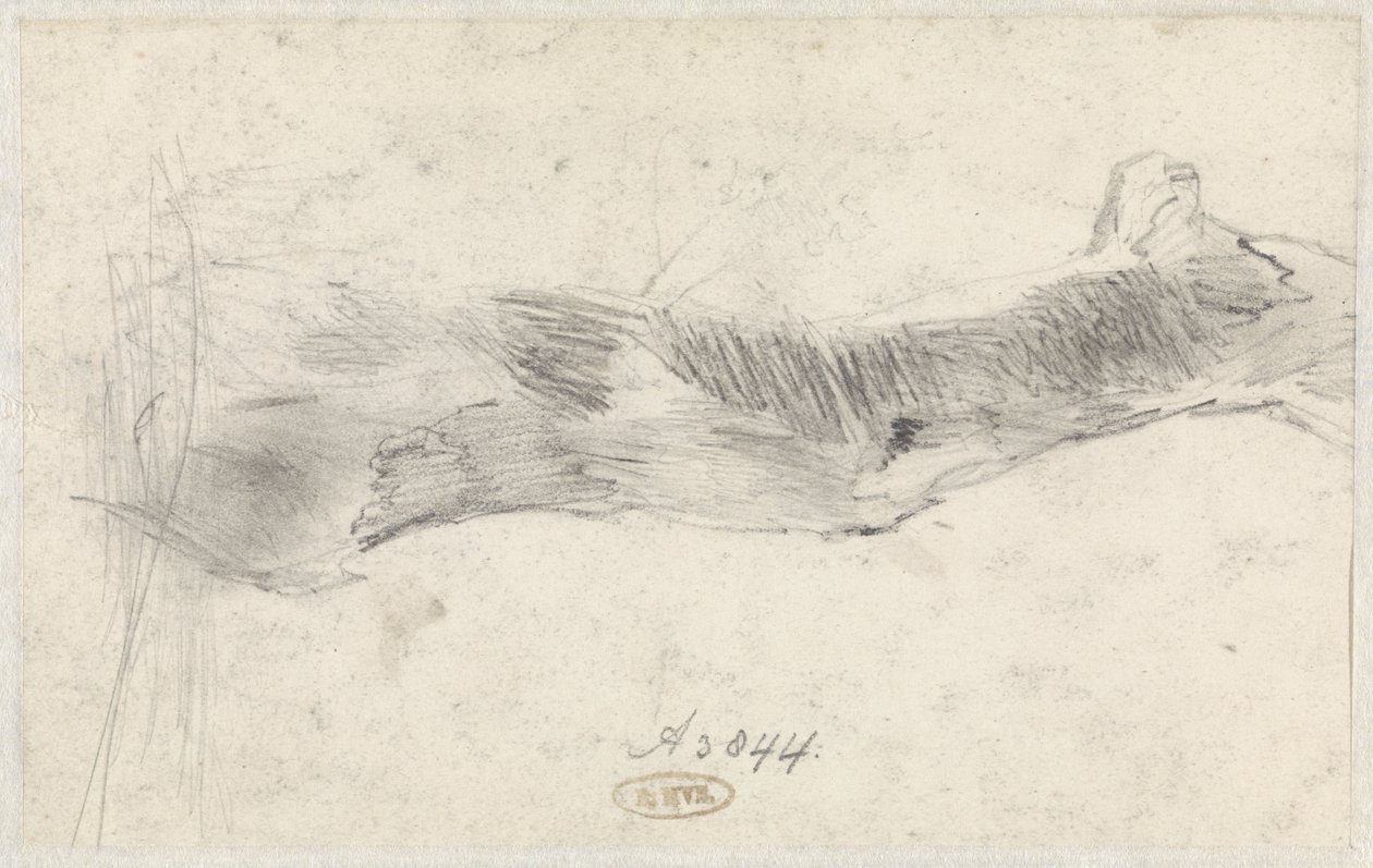 Bir ağaç çalışması by Willem Anthonie van Deventer