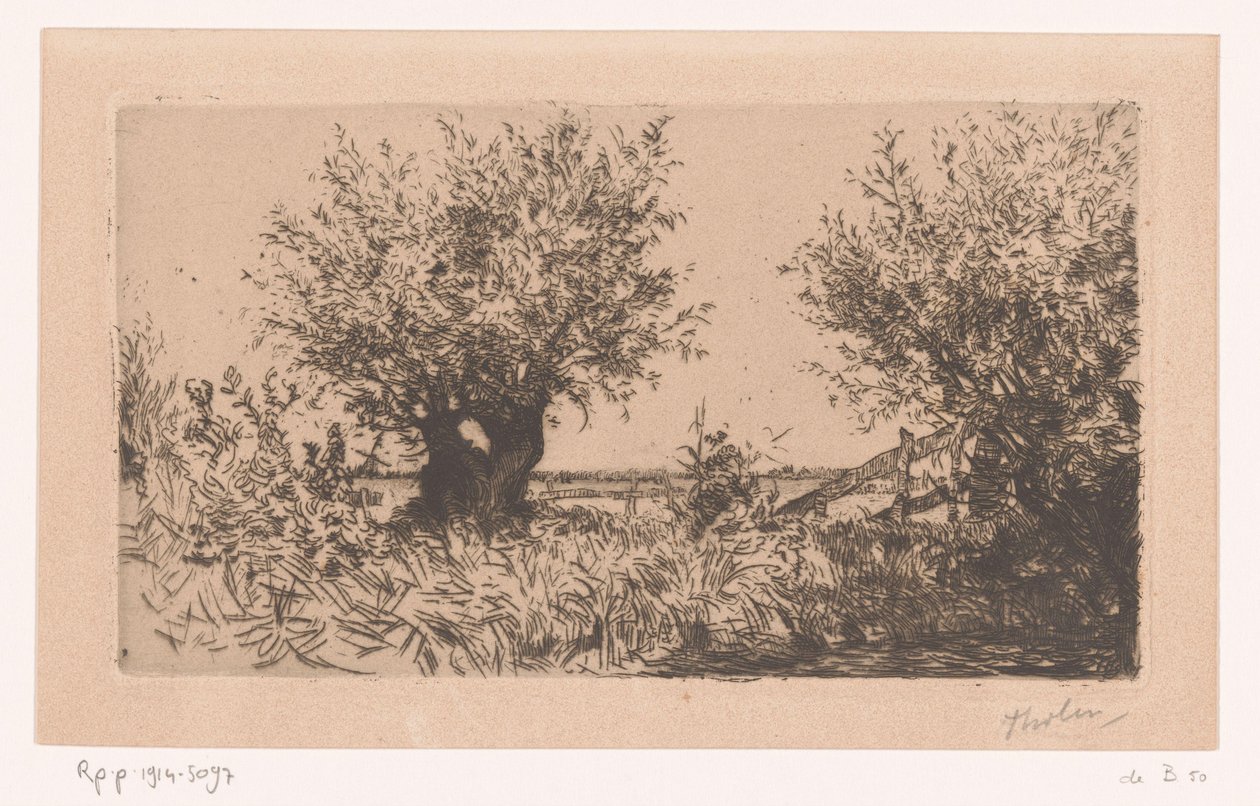 Çayır, pollard söğütleri ve çit ile manzara Willows (Kaag) (orijinal başlık) by Willem Bastiaan Tholen (signed by artist)