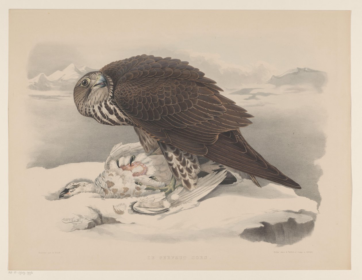 Ptarmigan ile gyrfalcon Le gerfaut sors (nesne üzerindeki başlık) by Willem Bastiaan van Wouw