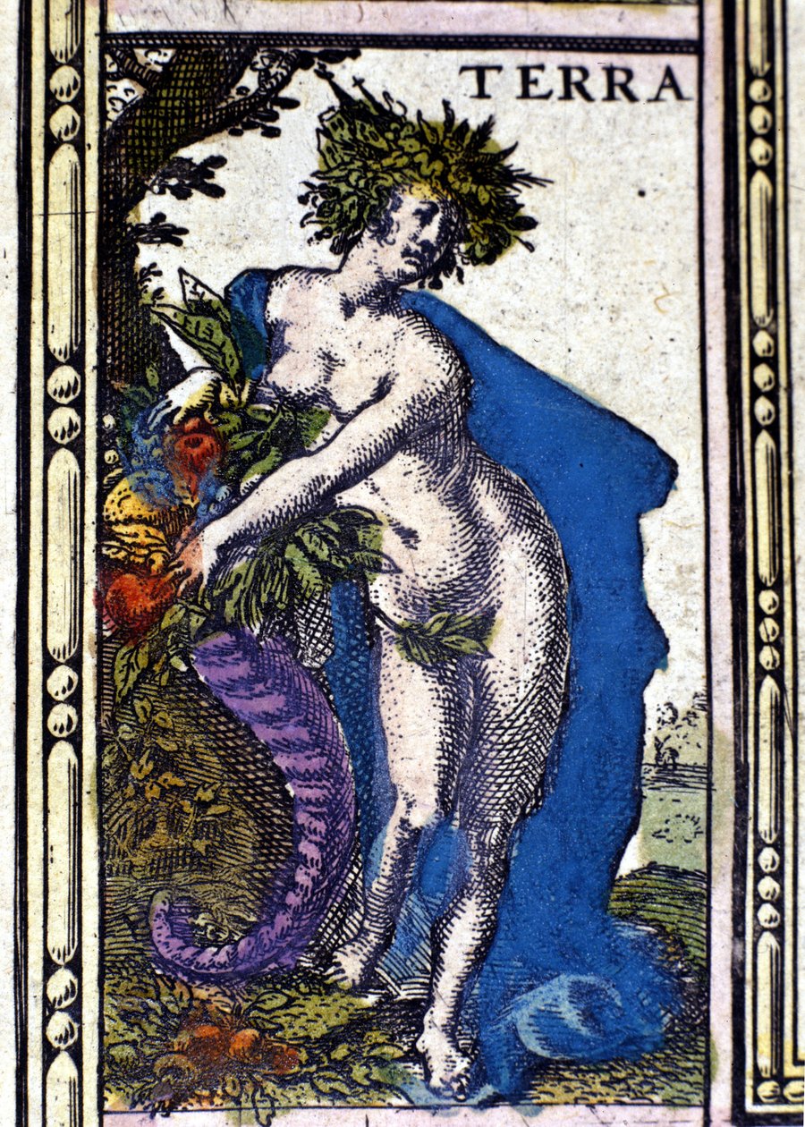 1655 yılında Amsterdam