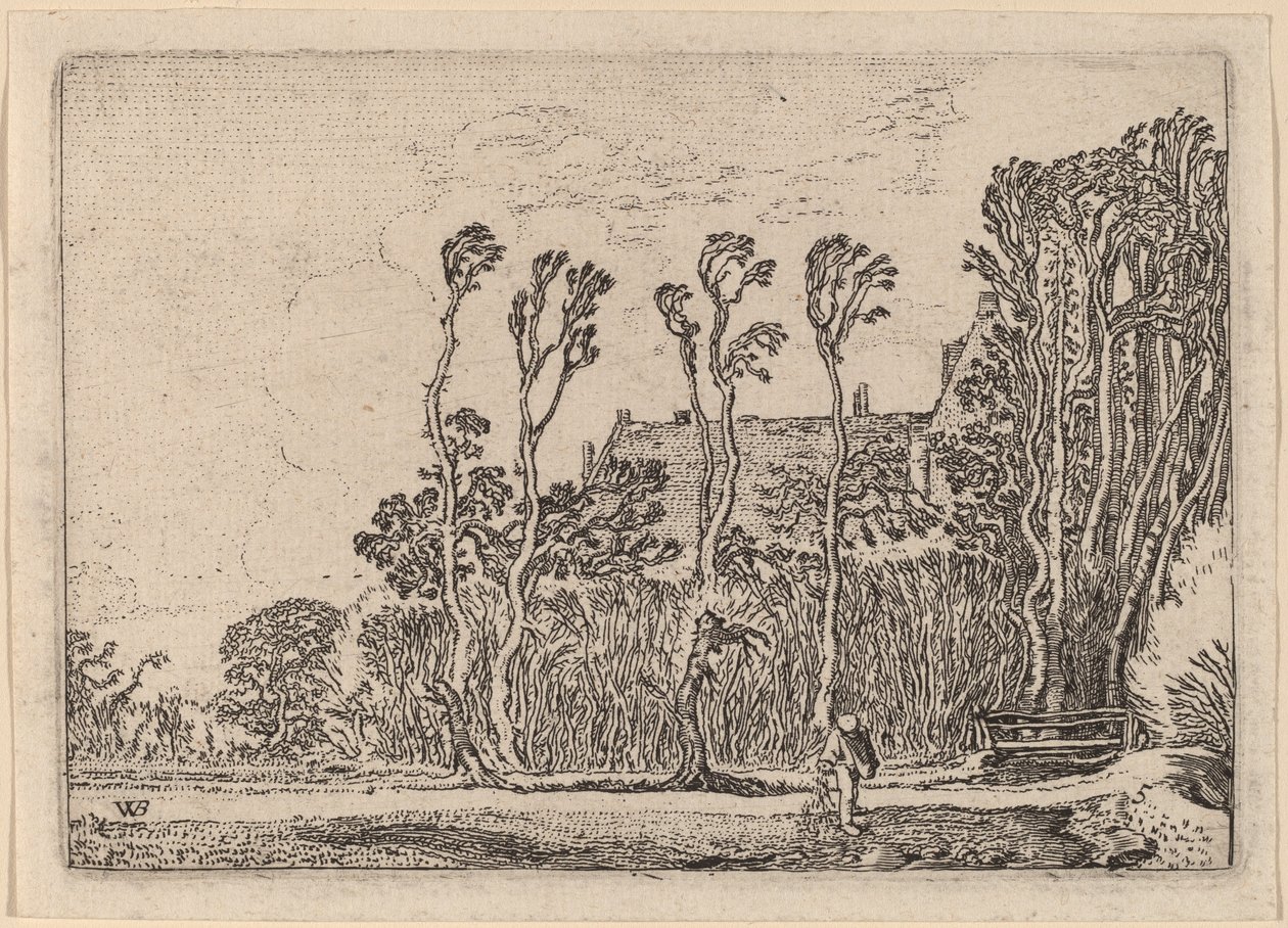 ekici by Willem Buytewech