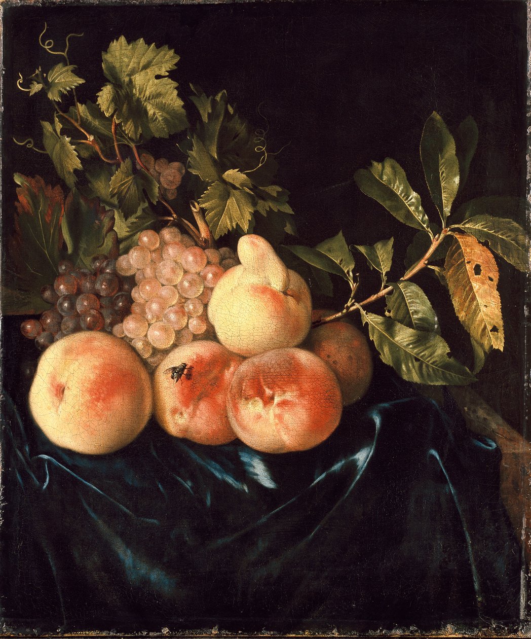 Şeftali ve Üzüm Natürmort, 1705 by Willem Frederiksz van Royen