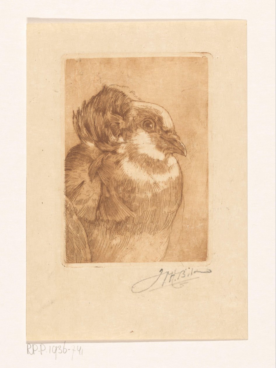 Bir güvercin çalışması by Willem Hendrik Bik (signed by artist)