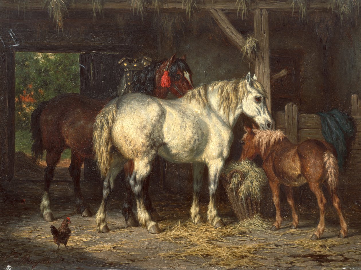  by Willem Jacobus Boogaard