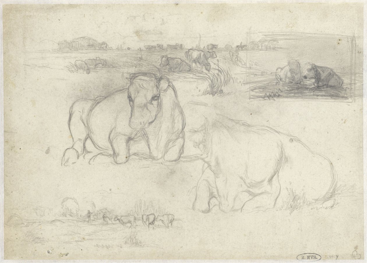 İnek çizimleri by Willem Maris