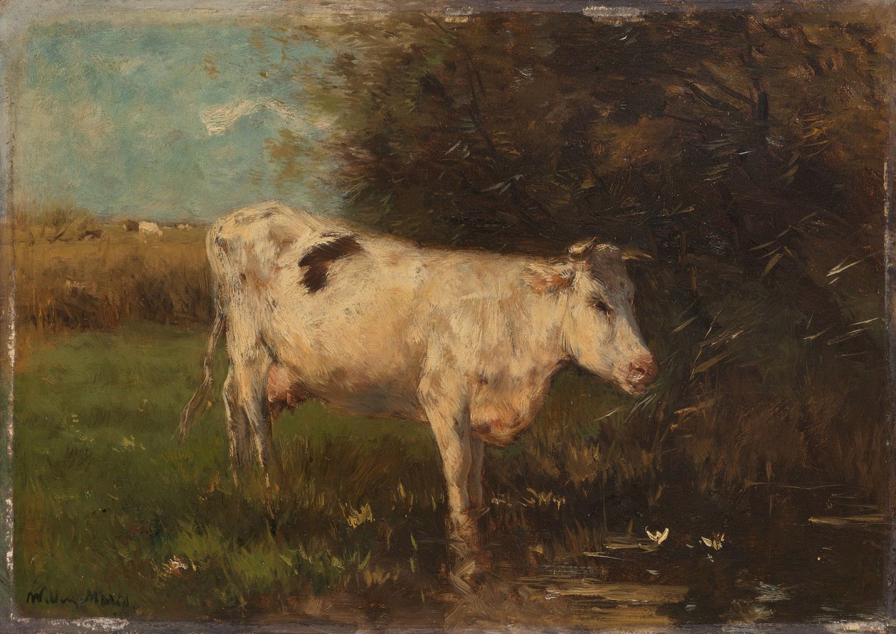 beyaz inek by Willem Maris