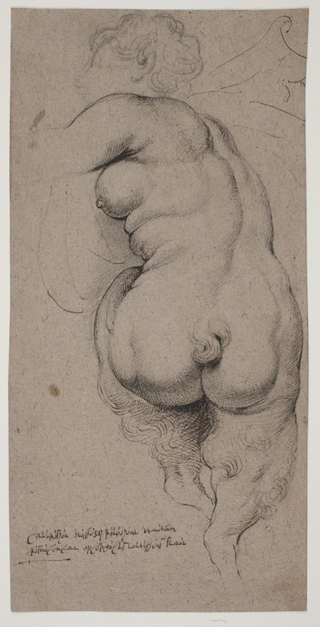 Arkadan görülen dişi faun by Willem Panneels