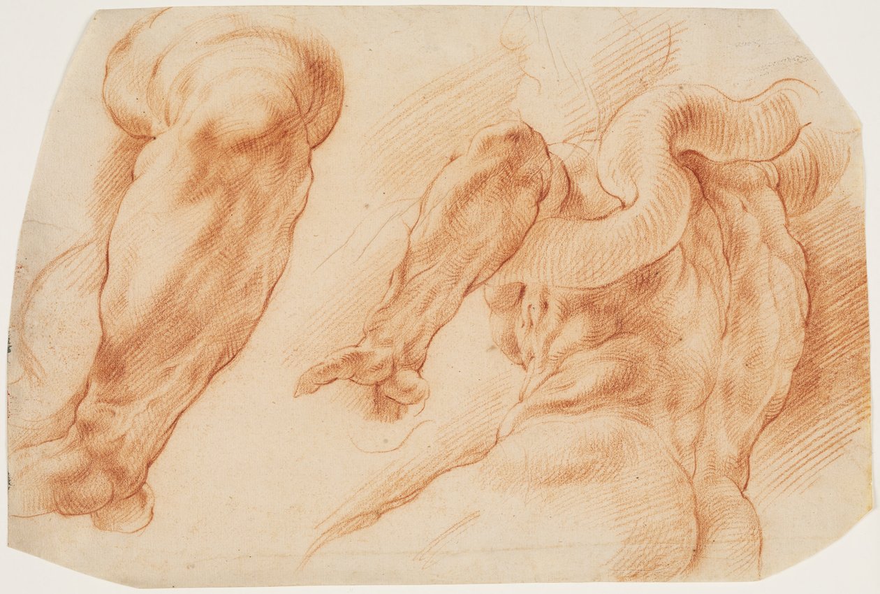 Laokoon. Laocoon