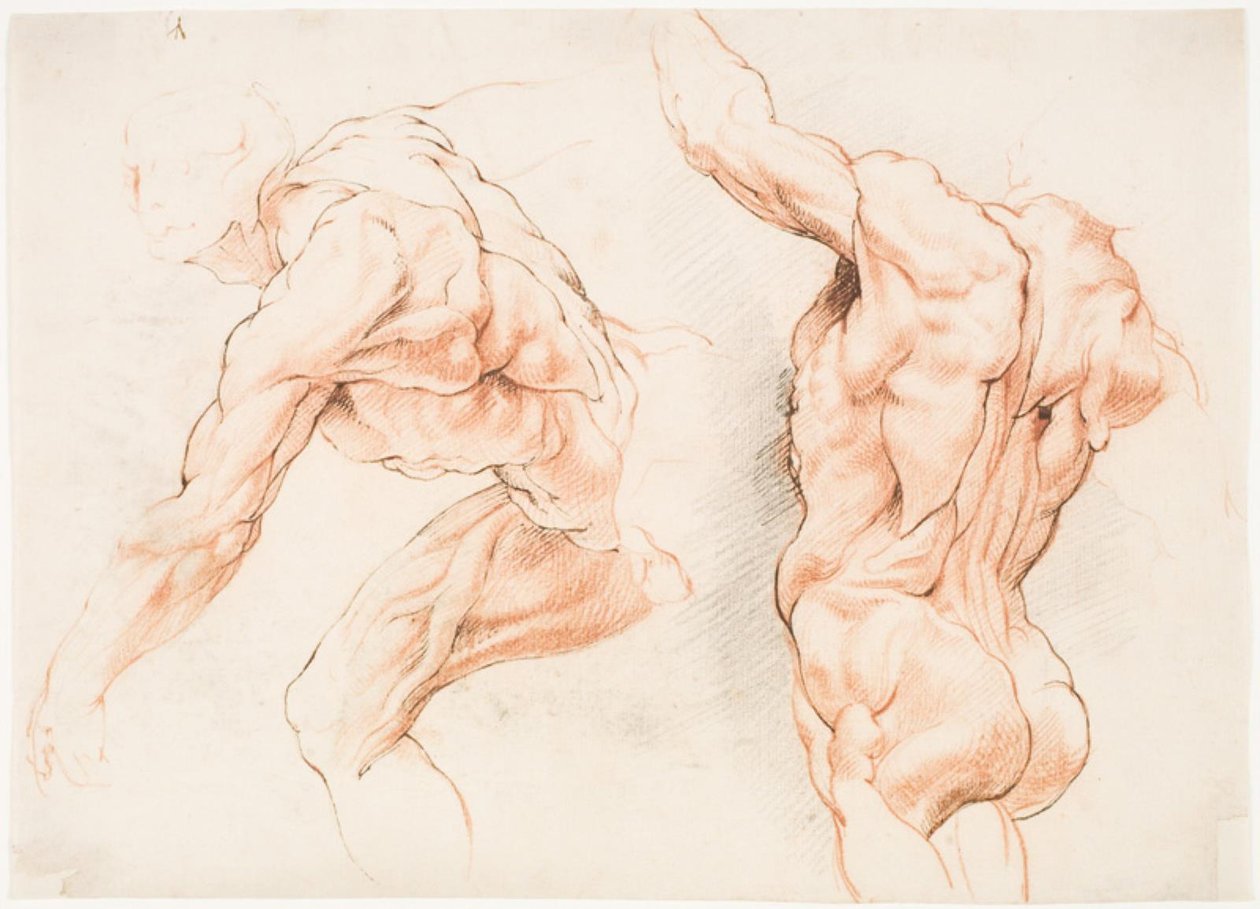 Sola yaslanmış bir adamın iki anatomik çalışması ve kolunu kaldırmış olarak arkadan görülen bir diğeri (écorché) by Willem Panneels