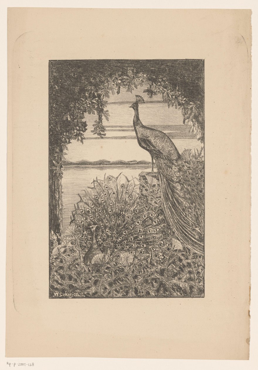 Doğada oturma ve ayakta tavus kuşu by Willem Scherjon