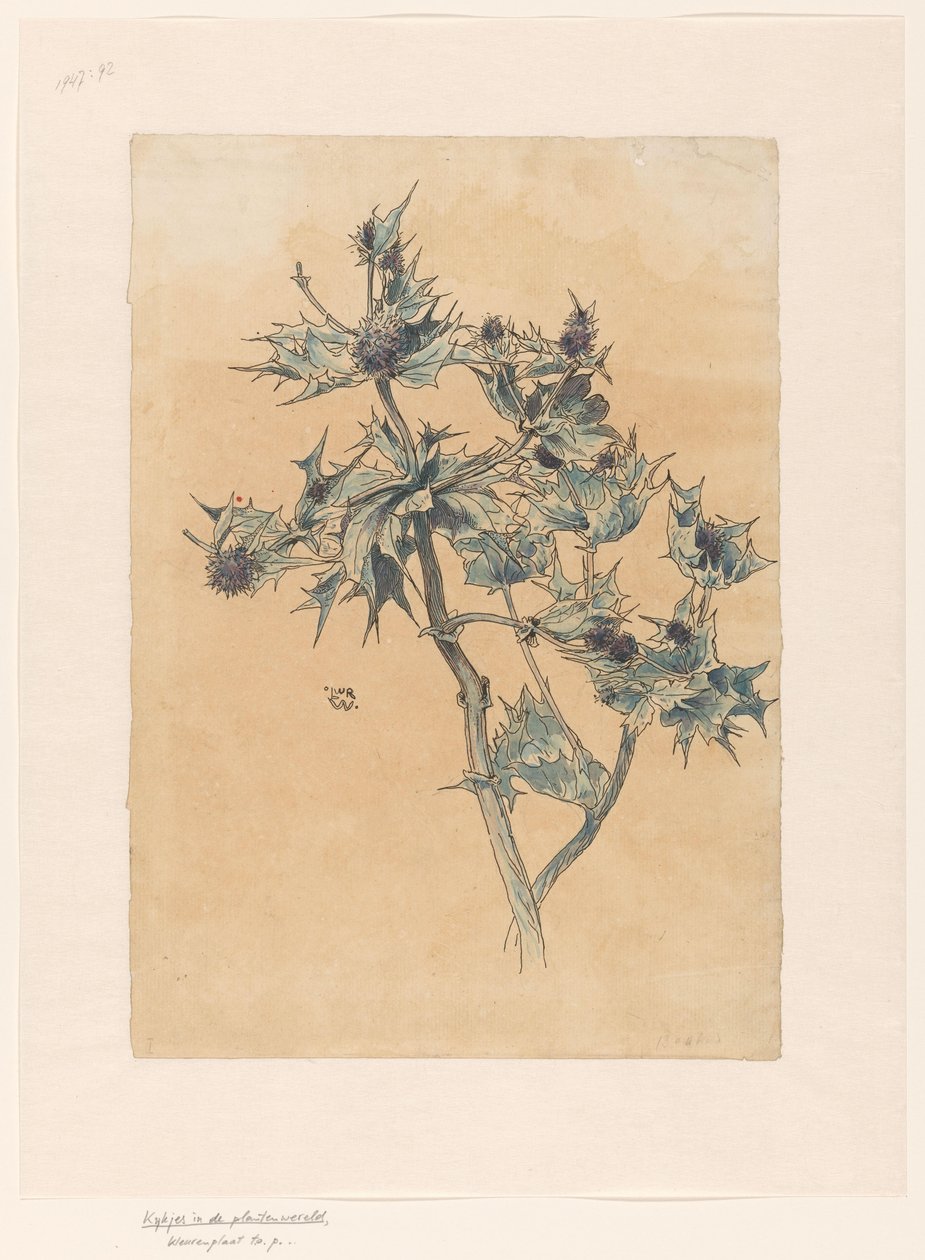 devedikeni by Ludwig Willem Reymert Wenckebach