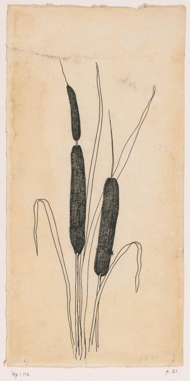 uzun kuyruklar by Willem Wenckebach