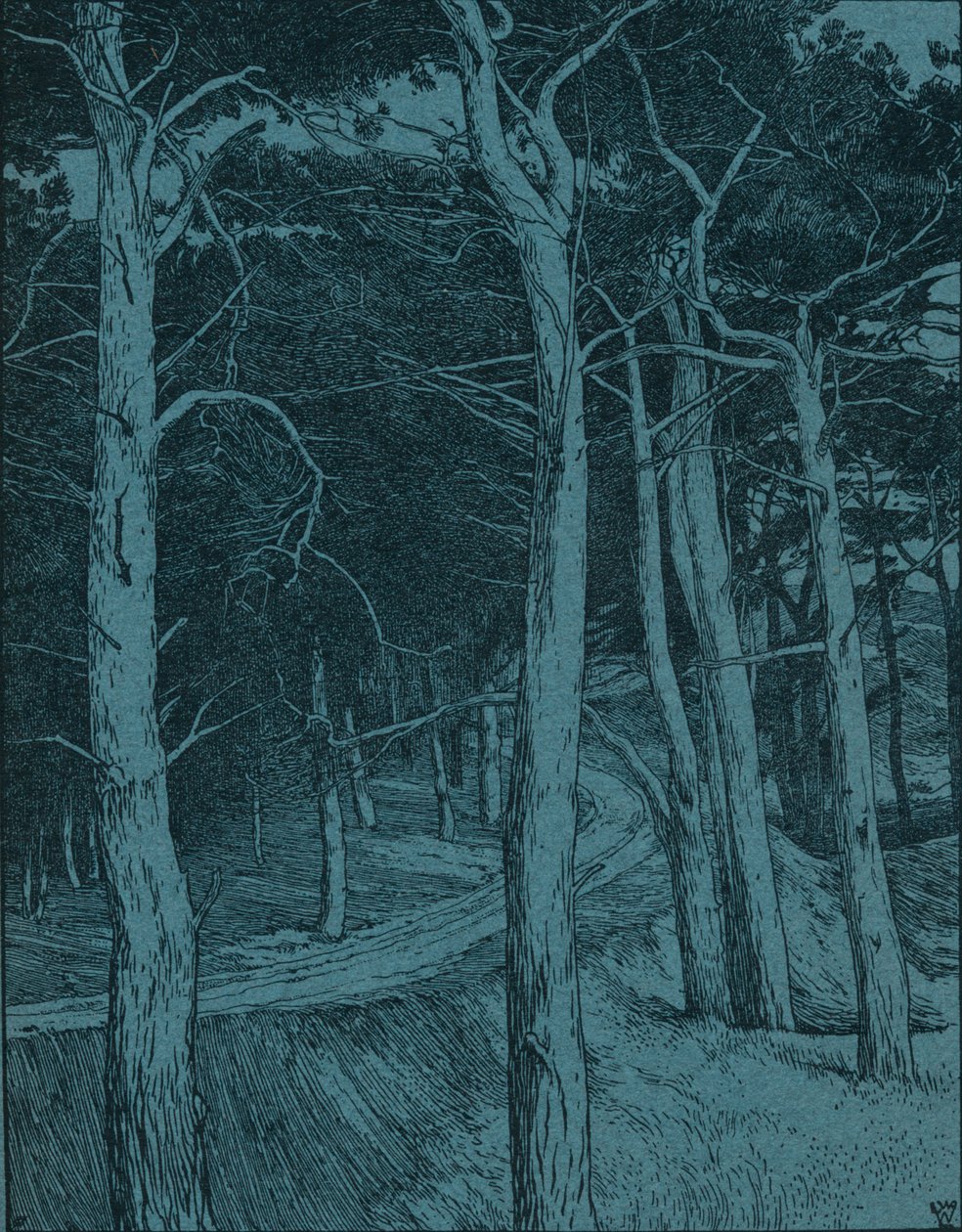 Ormanlık alan, c1912 by Willem Wenckebach