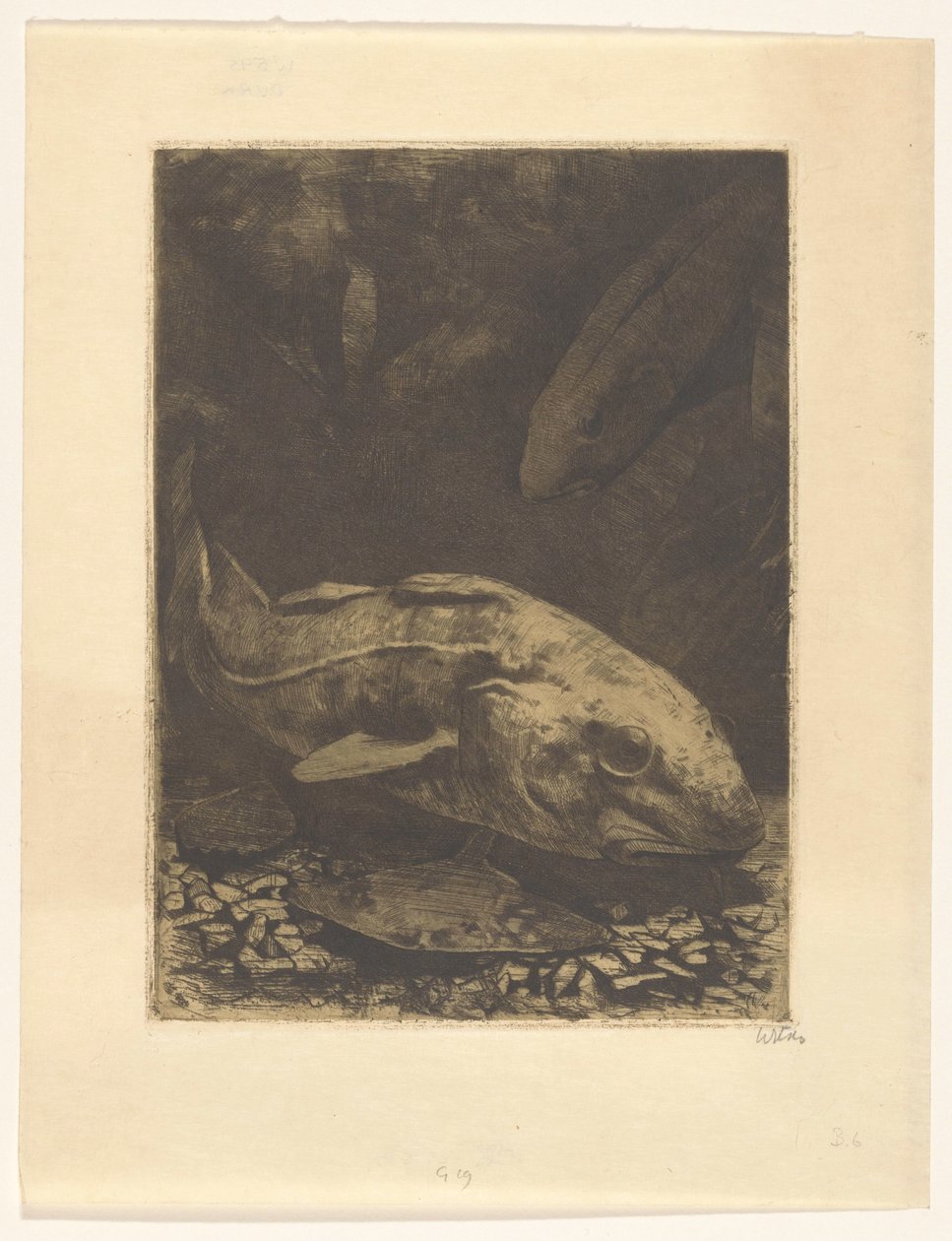 Balık ve su bitkileri by Willem Witsen (signed by artist)