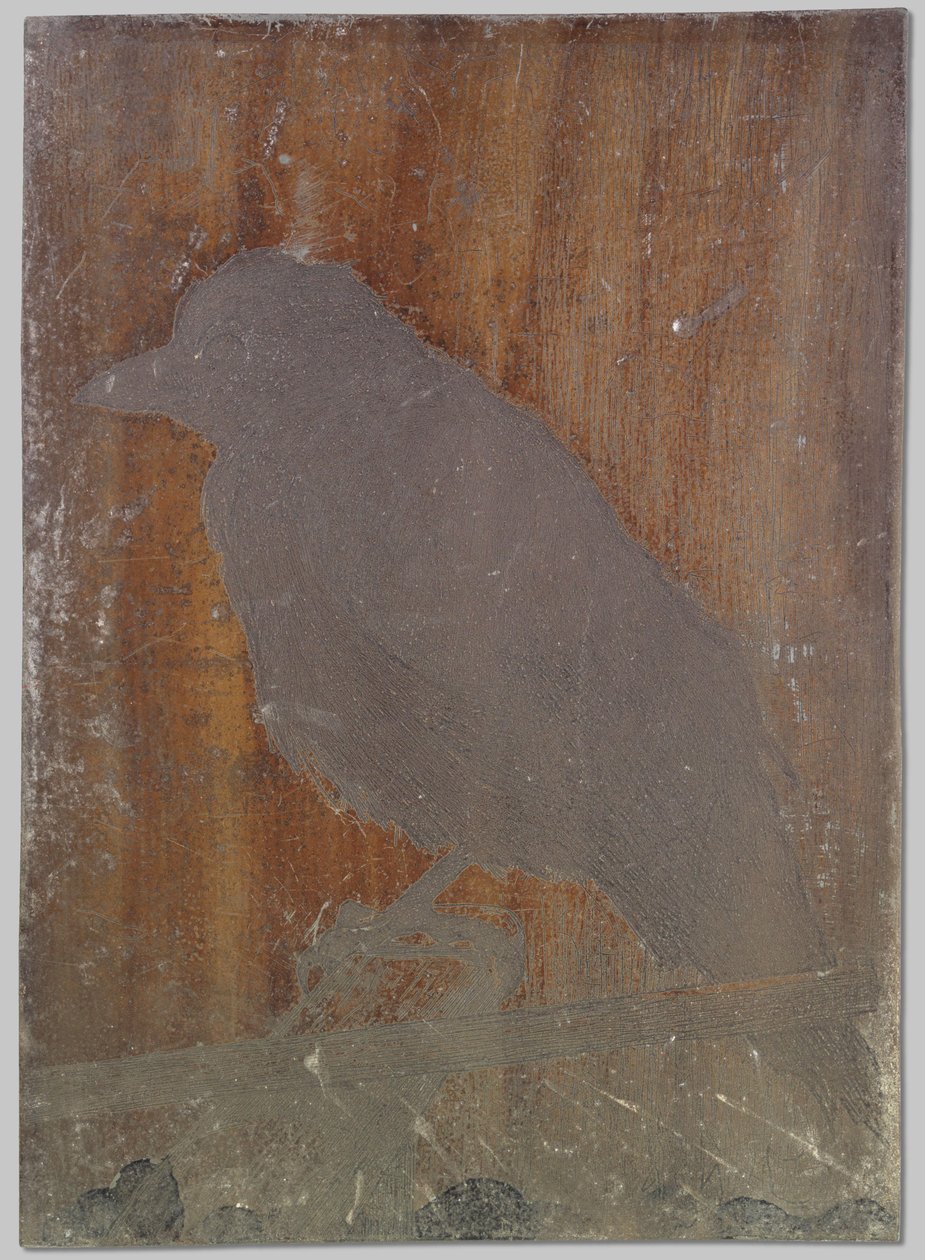 karga Ina by Willem Arnoldus Witsen