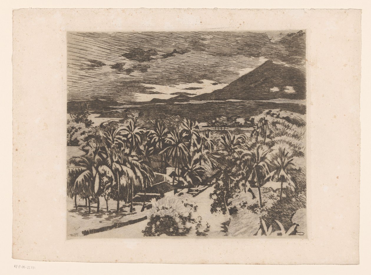 Buitenzorg'da hindistan cevizi ağaçlarıyla dolu bir manzara by Willem Arnoldus Witsen