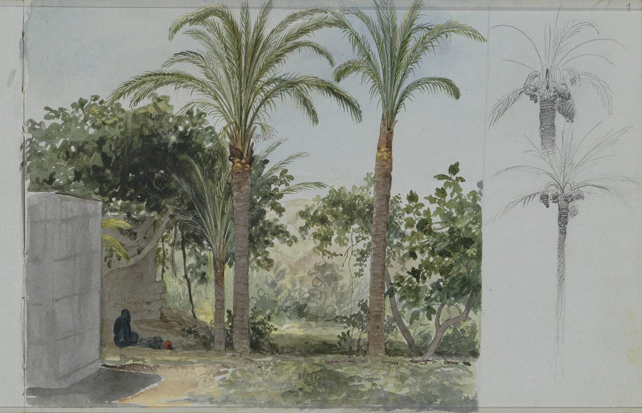 Palmiye ağaçları ile vaha by Willem de Famars Testas