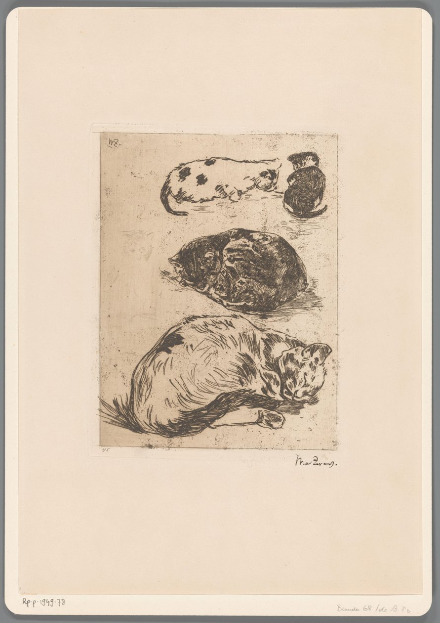 Kedilerin incelenmesi (orijinal başlık) by Willem de Zwart (signed by artist)