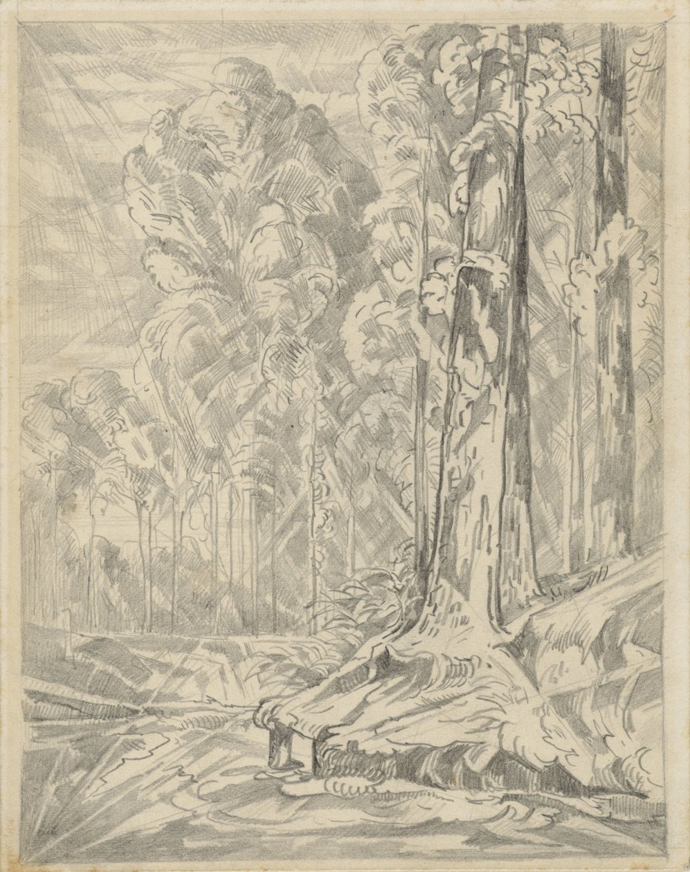Uzun ağaçlar arasında temizlik by Willem van Konijnenburg
