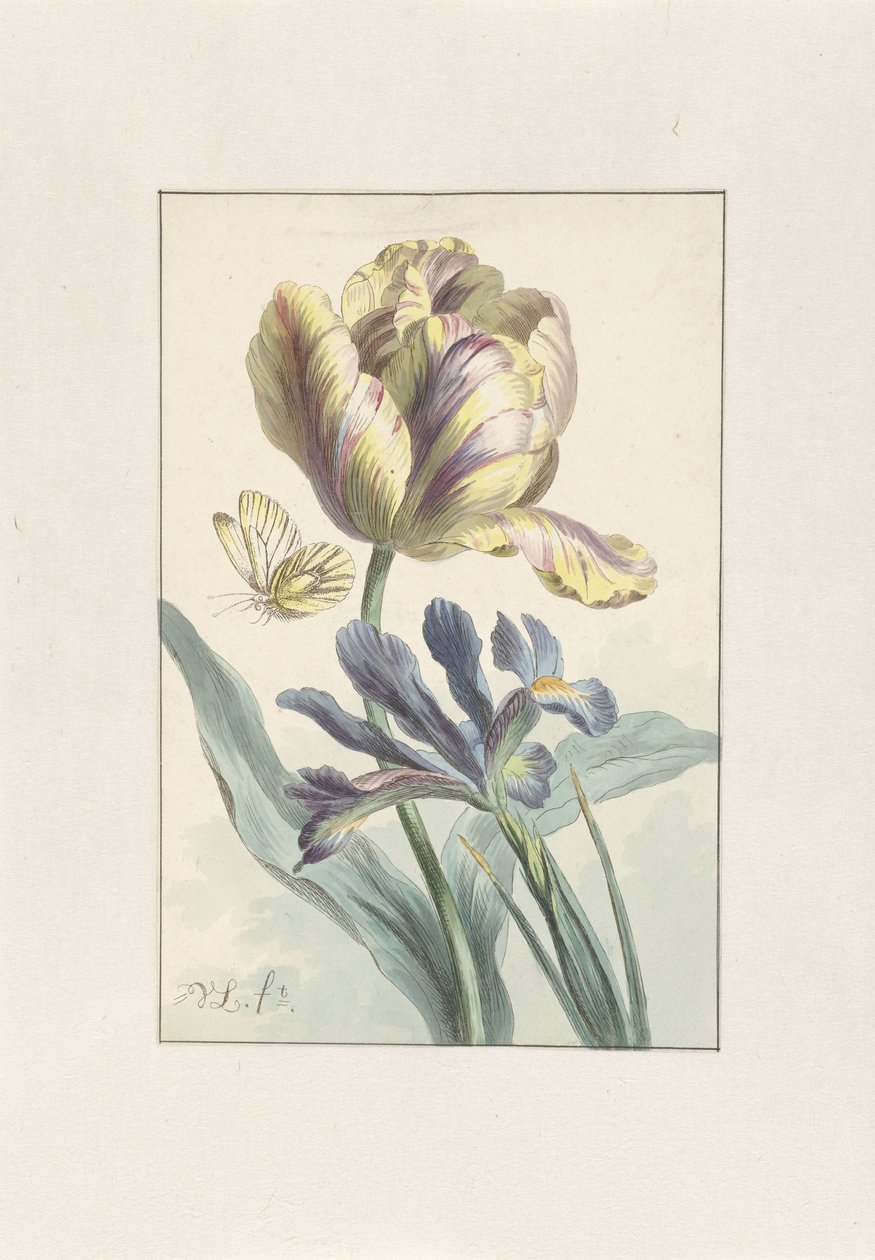 Lale ve İris by Willem van Leen