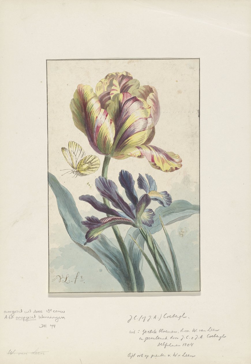 Lale ve iris by Willem van Leen