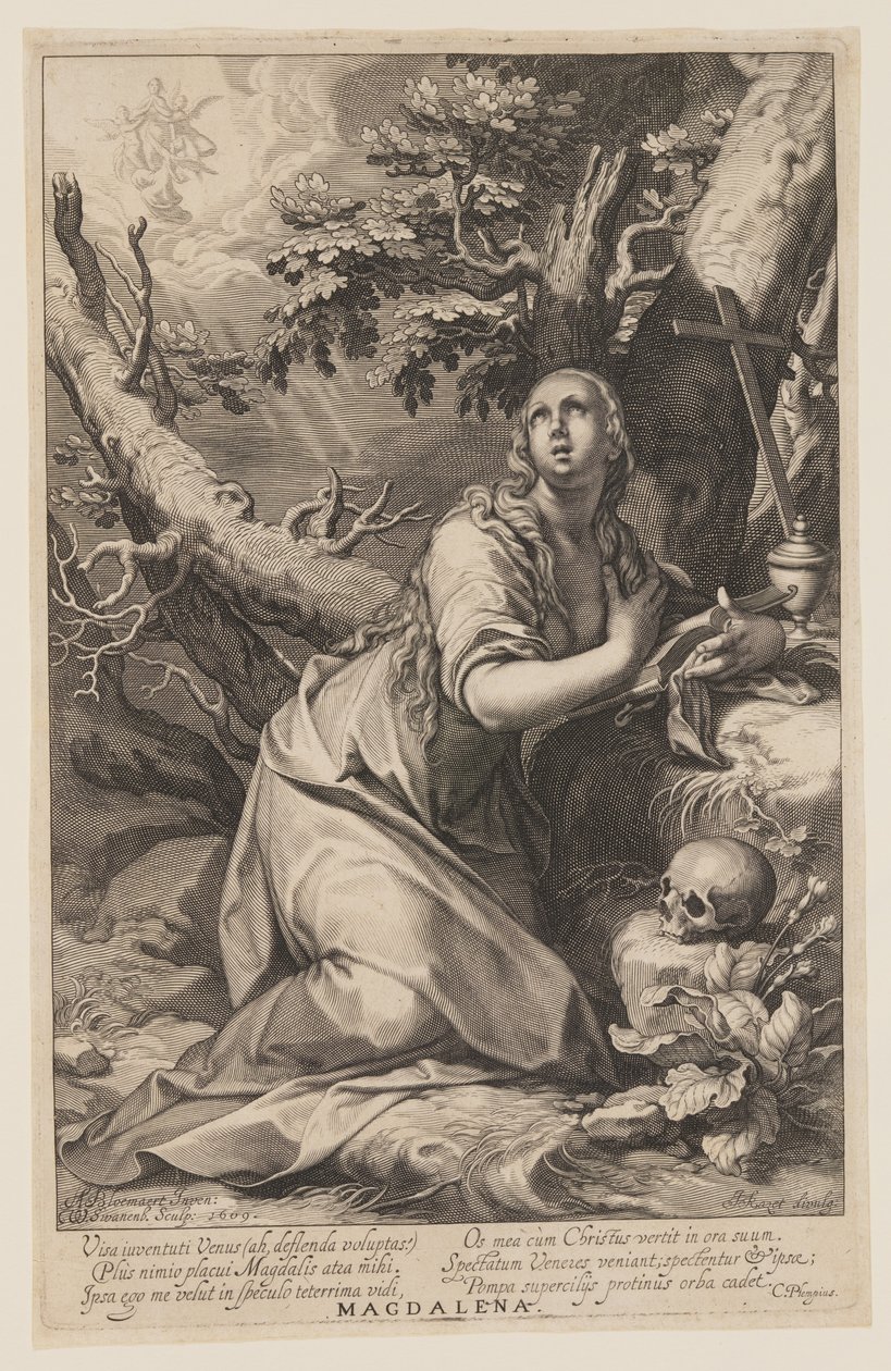  by Willem van Swanenburgh