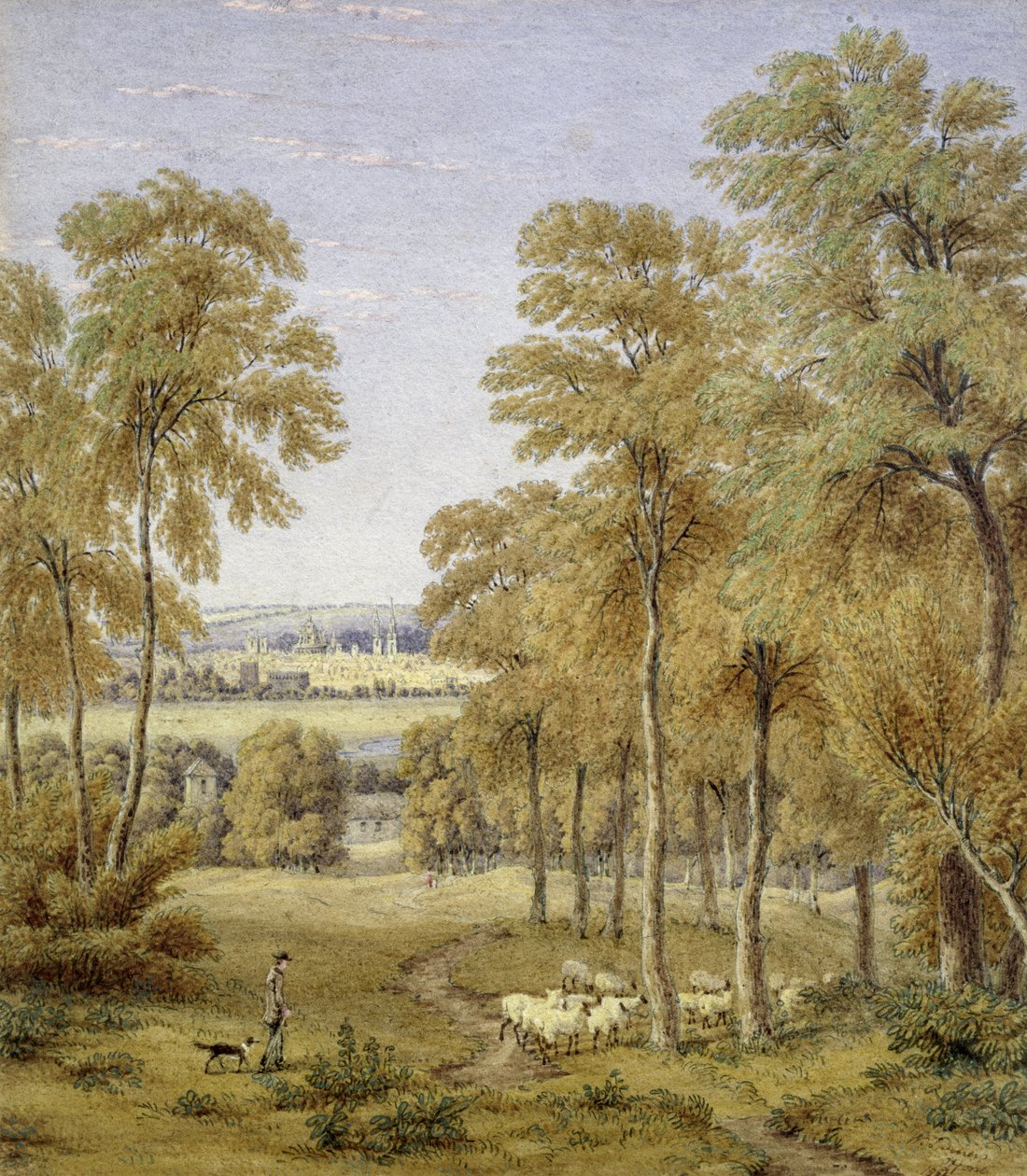 Hinksey Feribotu