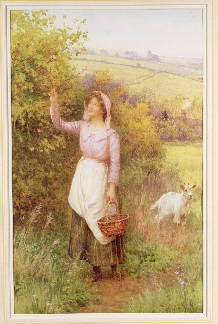 Çiçek Toplama, by William Affleck