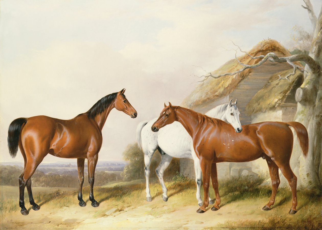 Ahırın Dışında, 1845 by William Barraud