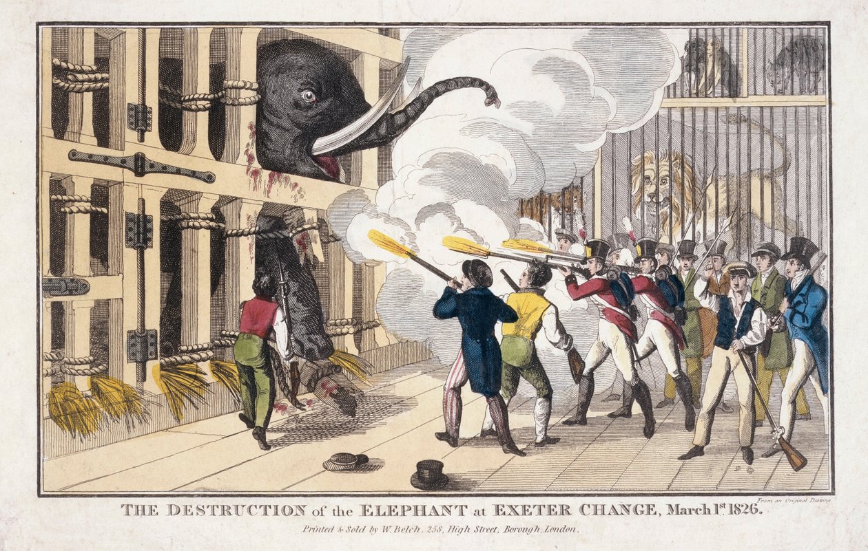 Exeter