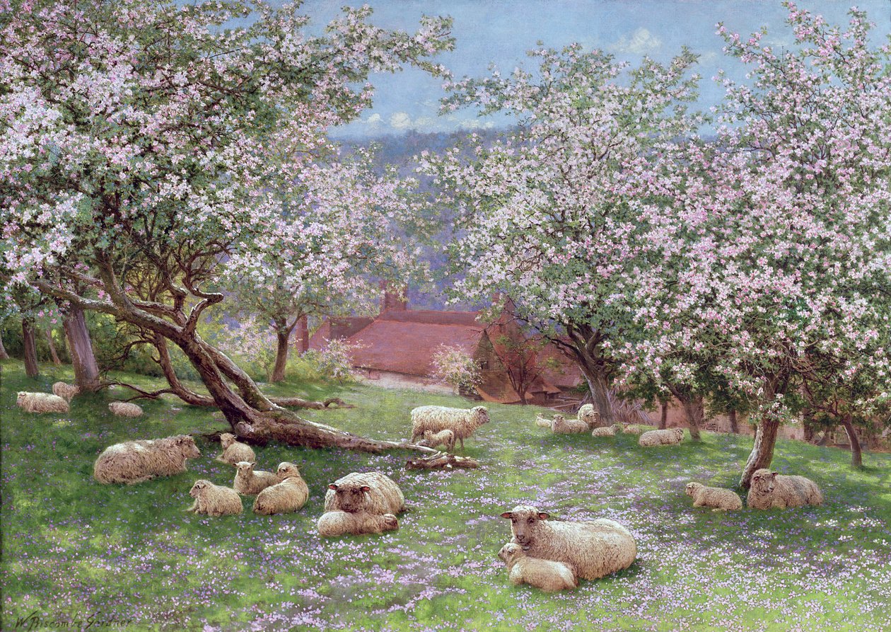 Elma çiçeği by William Biscombe Gardner