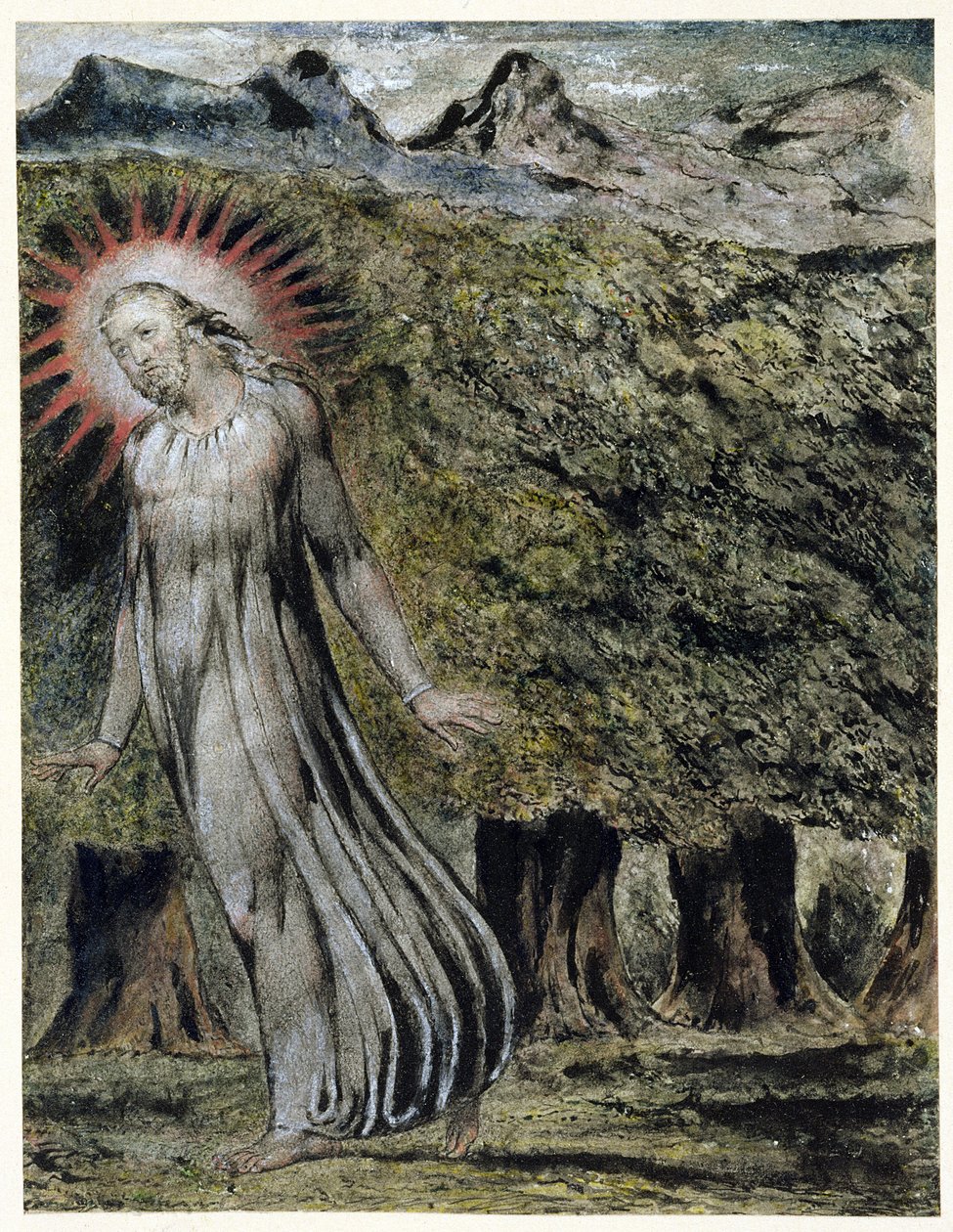 Vahşi Doğada Bir Peygamber (kağıt üzerine guaj ile kalem ve mürekkep) by William Blake