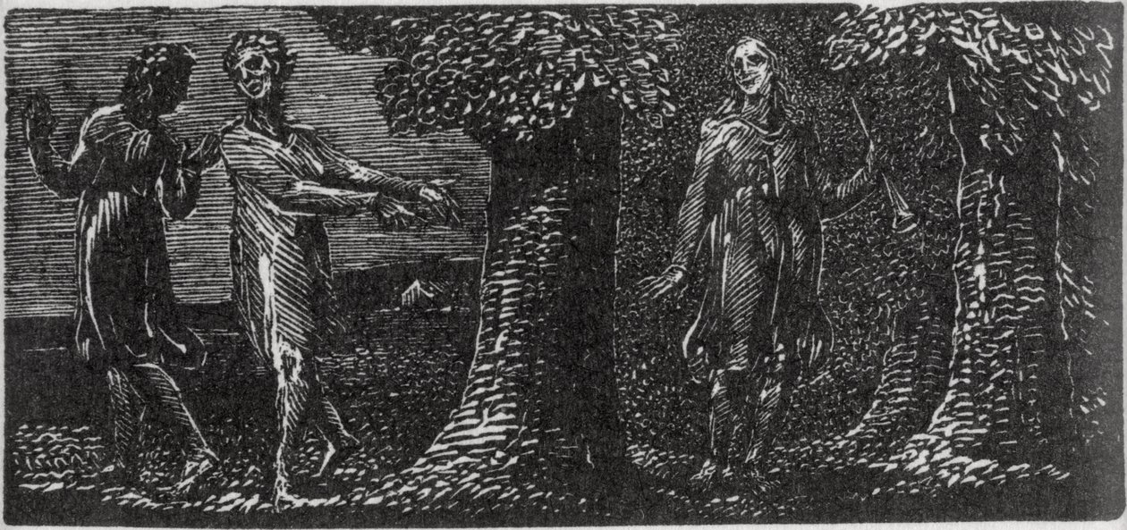 Colinet Mocked by two boys, illustration from Dr. Thornton