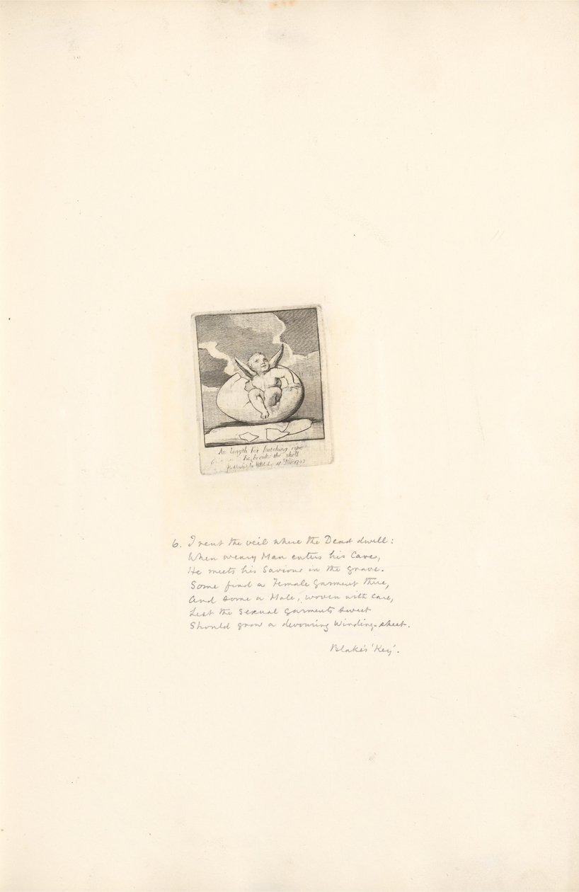 Cinsiyetler İçin - Cennetin Kapıları, Levha 8, Yumurtadan çıkmak için sonunda kabuğunu kırar by William Blake