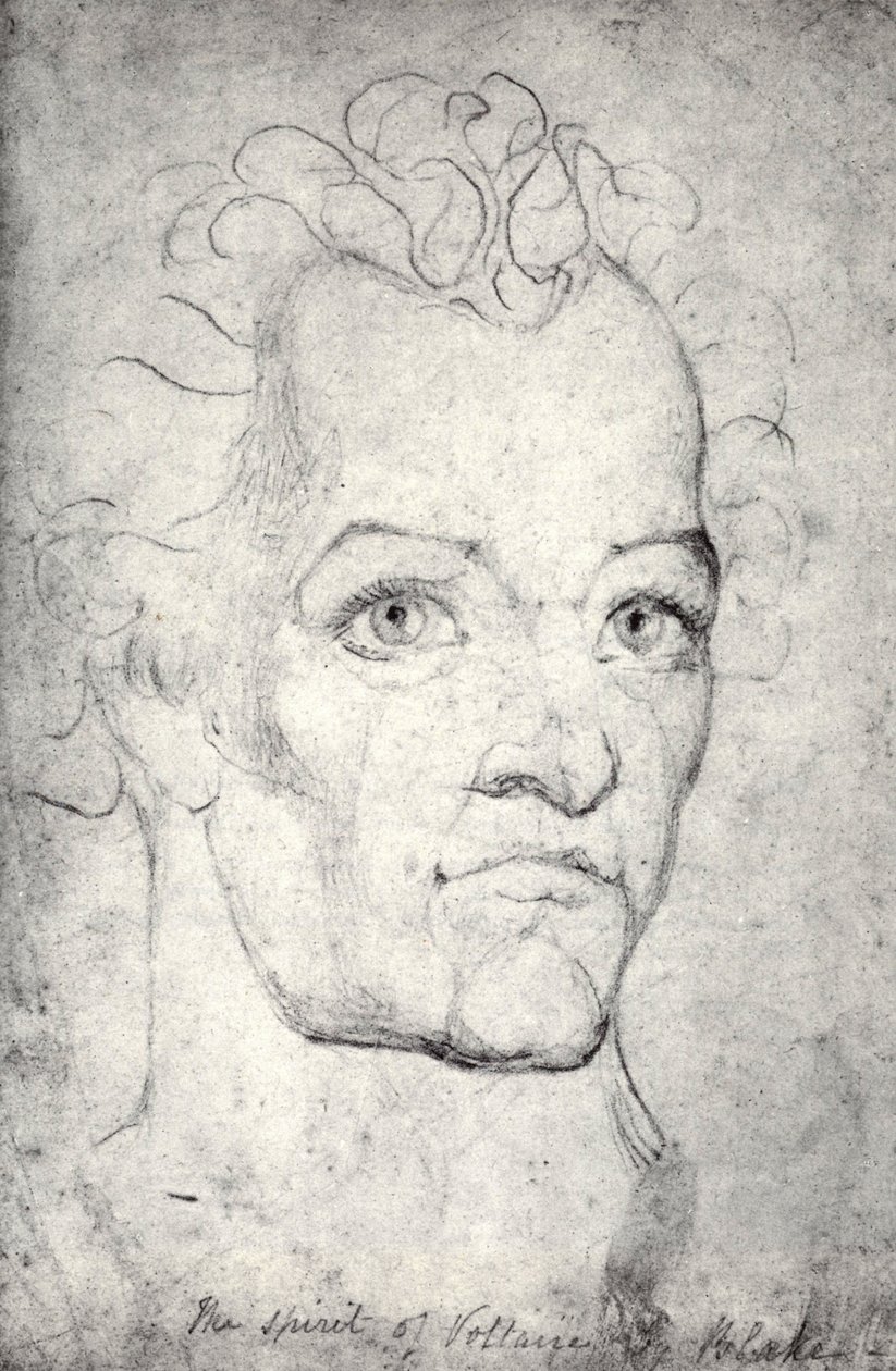 Voltaire Başkanı by William Blake