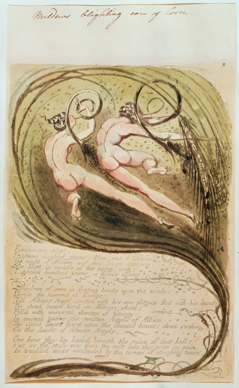 Mısırın Küf Yanık Kulakları by William Blake
