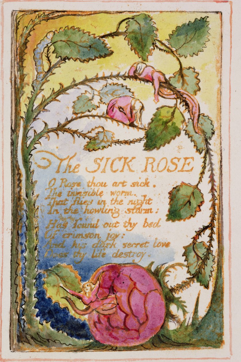 S.125-19503.pt39 The Sick Rose: Songs of Innocence and of Experience