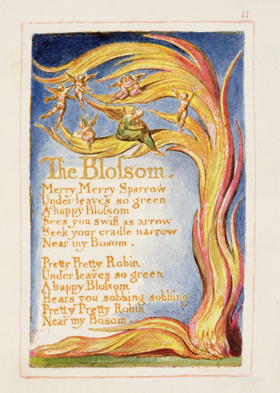S.125-1950.pt11 The Blossom: 